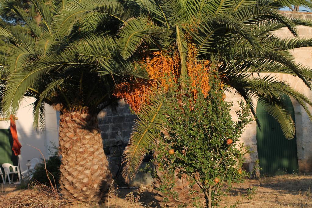Masseria Vivi Il Salento Santa Caterina  Rom bilde
