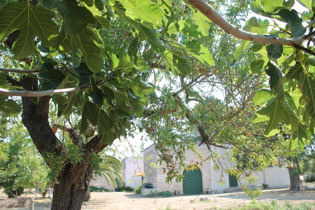 Masseria Vivi Il Salento Santa Caterina  Rom bilde