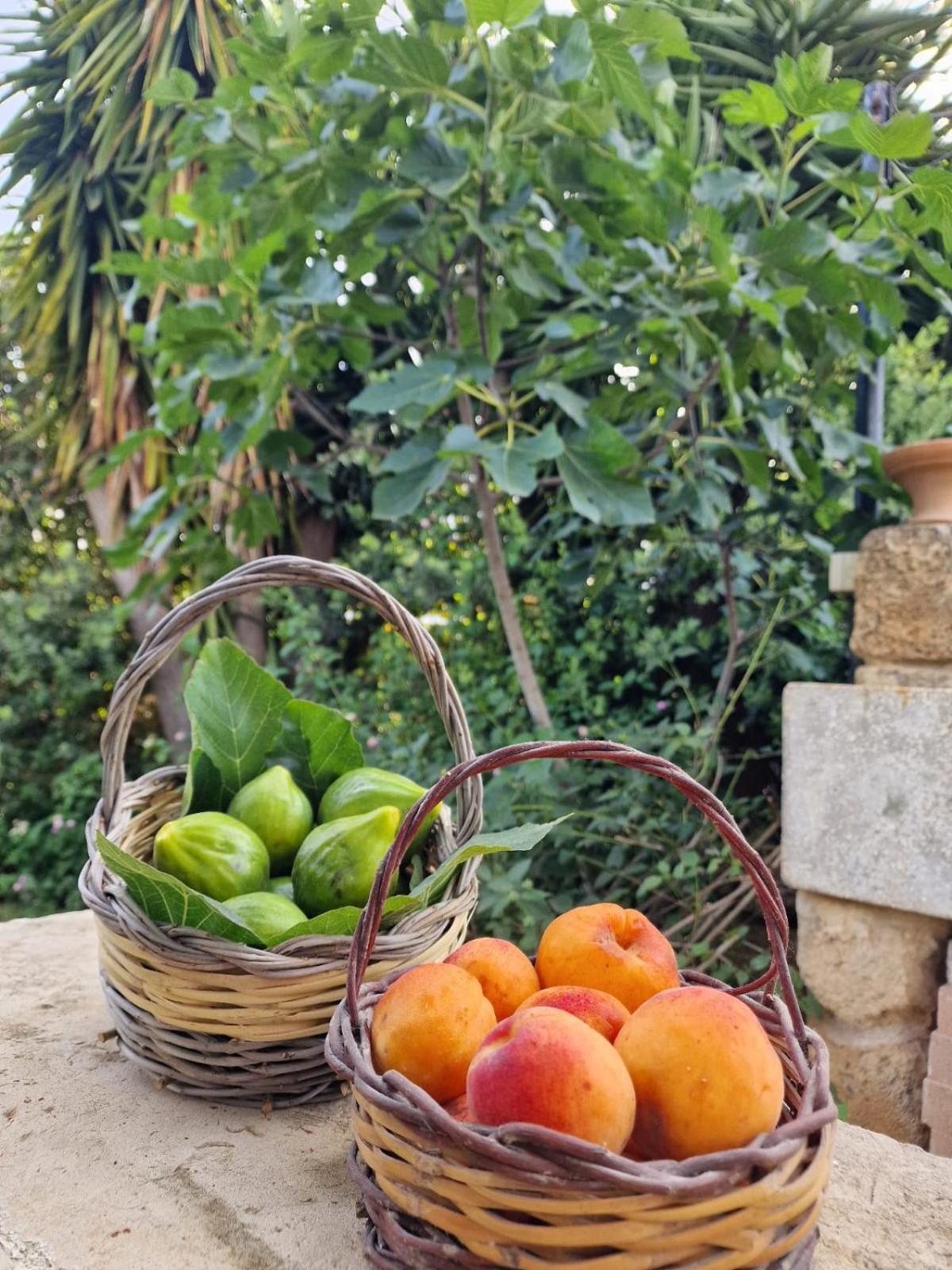 Masseria Vivi Il Salento Santa Caterina  Eksteriør bilde
