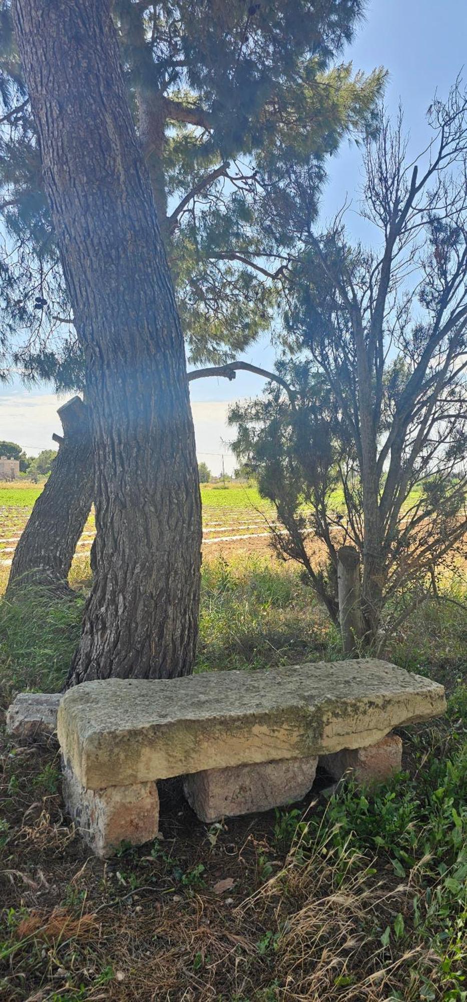 Masseria Vivi Il Salento Santa Caterina  Eksteriør bilde