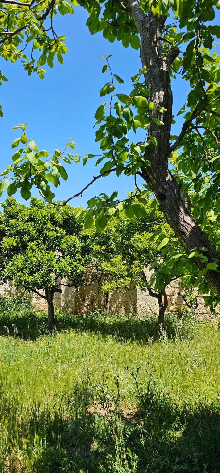 Masseria Vivi Il Salento Santa Caterina  Eksteriør bilde