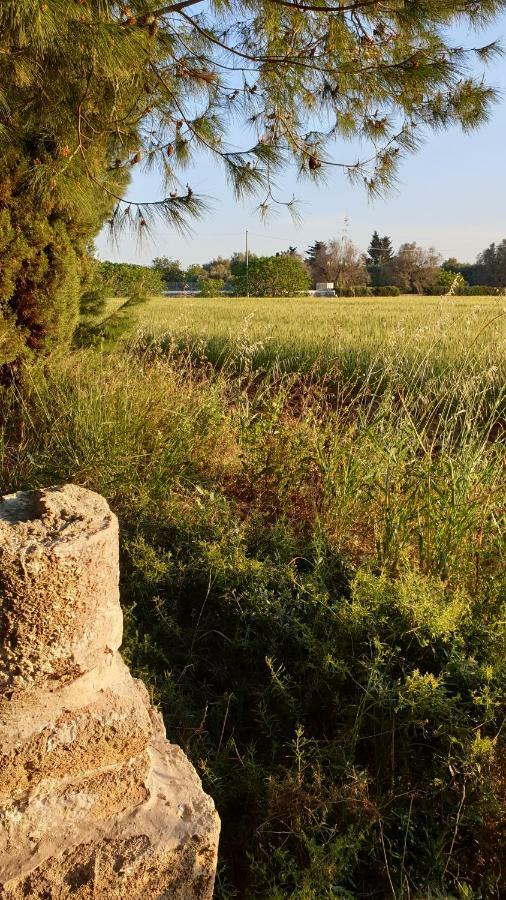 Masseria Vivi Il Salento Santa Caterina  Eksteriør bilde